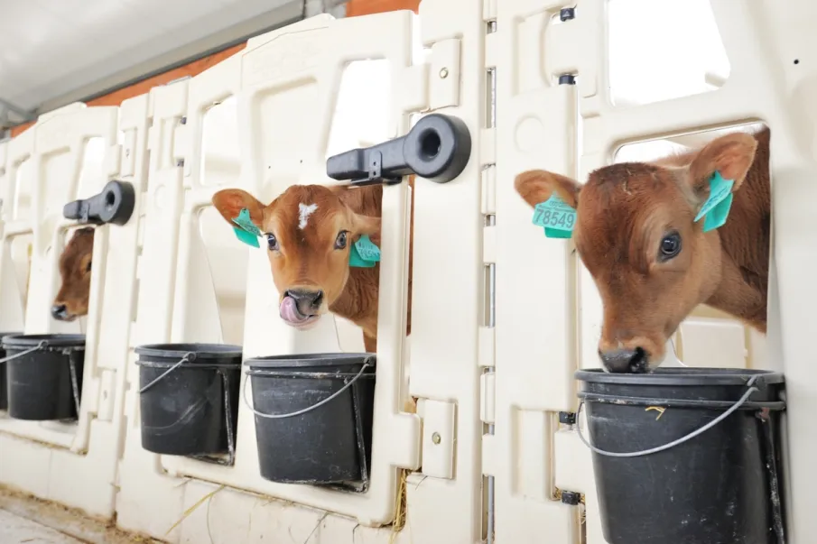 Более 72 млн рублей будет направлено на поддержку нижегородских фермеров в рамках грантового конкурса «Агростартап» в 2024 году