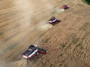 Нижегородские аграрии приступили к уборке урожая