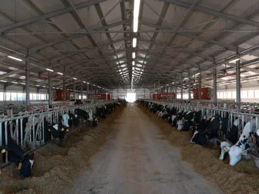 Роботизированная ферма открылась в Уренском муниципальном округе