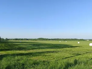 Нижегородские аграрии приступили к заготовке кормов