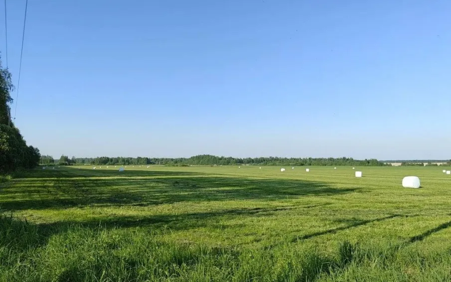 Нижегородские аграрии приступили к заготовке кормов