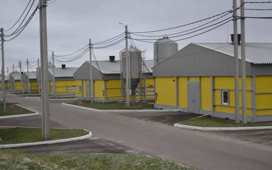 18 новых птичников построены в Вачском округе при господдержке