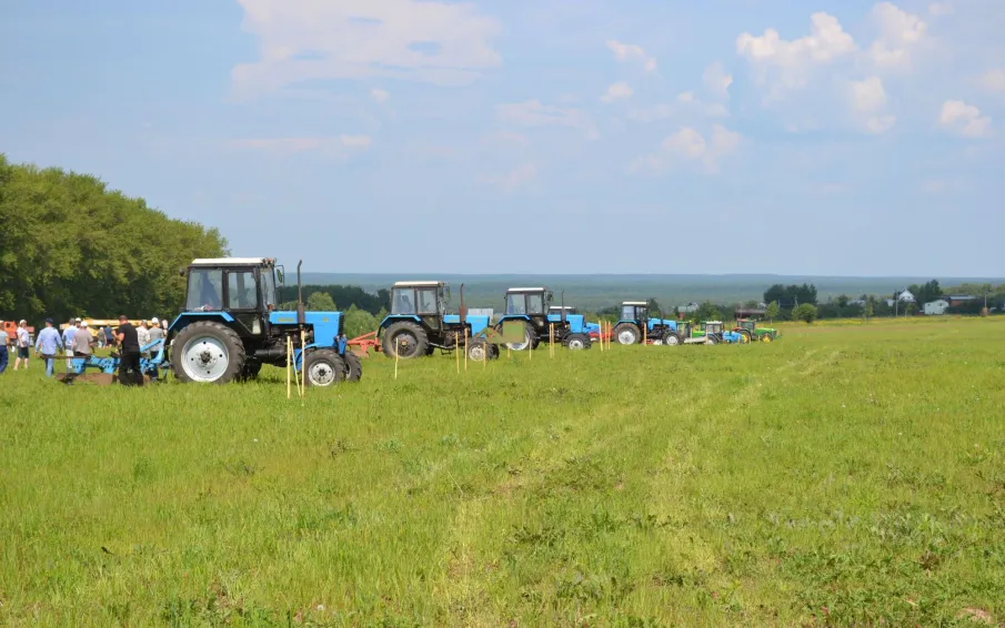 Фестиваль «День поля» переносится