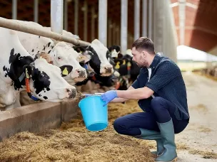 В Нижегородской области стартовал отбор проектов в сфере сельского хозяйства на получение грантов