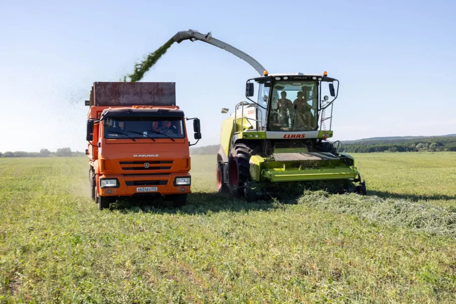 Нижегородские аграрии выполнили план по заготовке кормов более чем на 50%