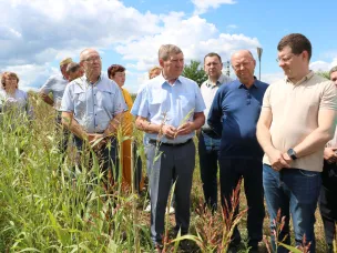 Строительство животноводческого комплекса на 625 голов началось в Шарангском округе при господдержке