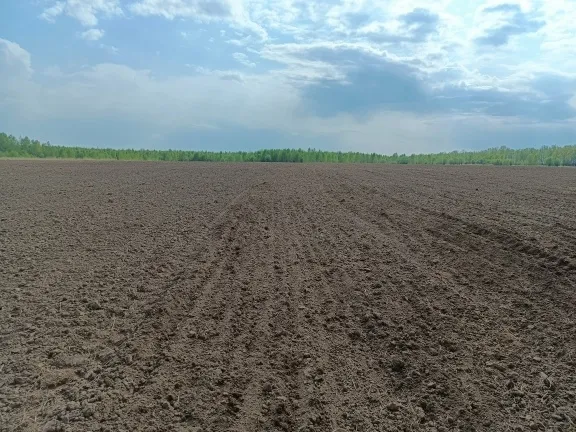 Более восьми тысяч гектаров залежных земель ввели в оборот нижегородские аграрии в 2025 году