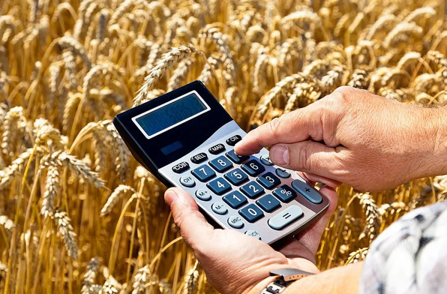 Аграрные предприятия Нижегородской области получили льготные займы на сумму свыше 660 млн рублей за семь месяцев 2024 года